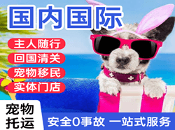 北京机场快运国际宠物托运 【国